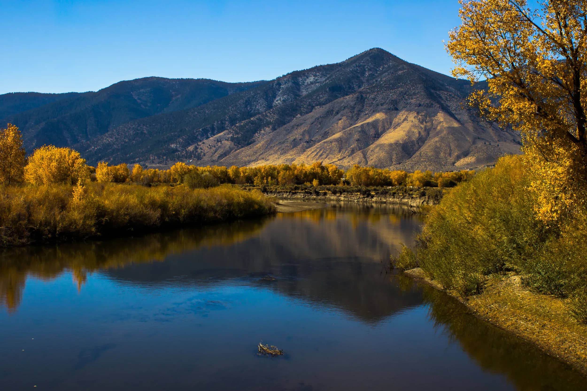 El río Carson en otoño, dorado, bajo la sierra Carson