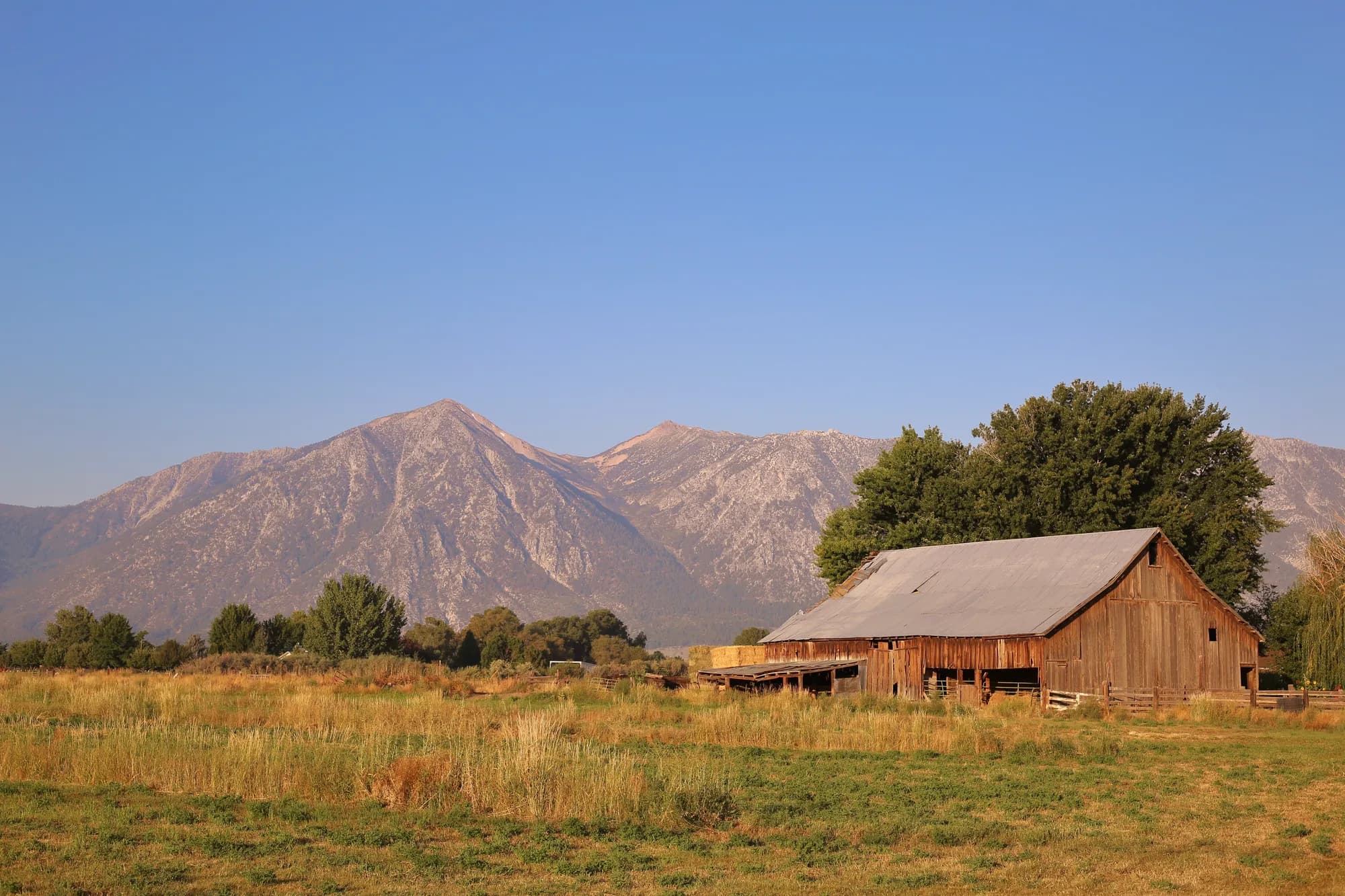 Un granero antiguo en un prado de Carson Valley, bajo la sierra Carson
