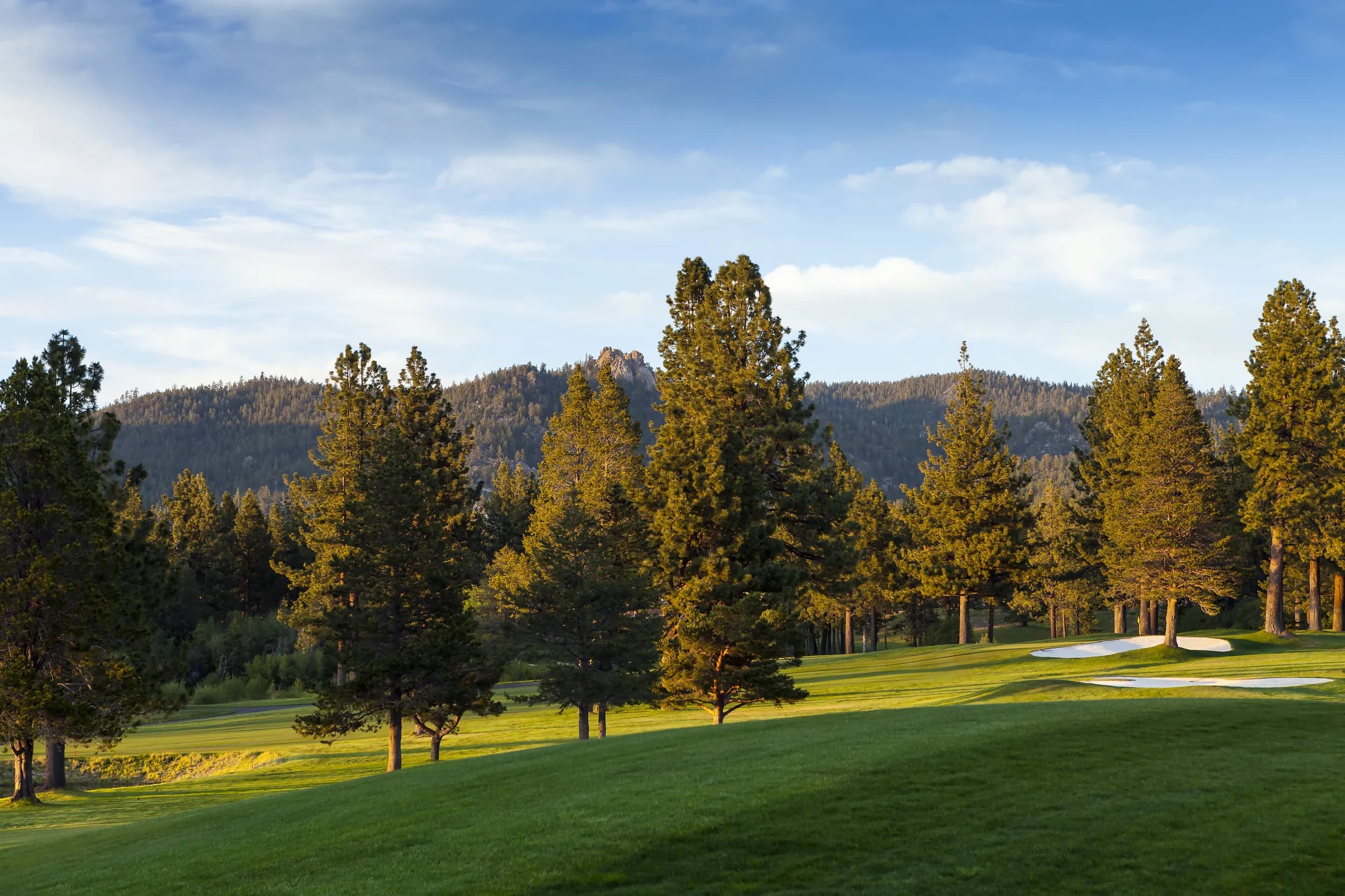 Un campo de golf soleado bordeado de pinos altos, bajo colinas boscosas