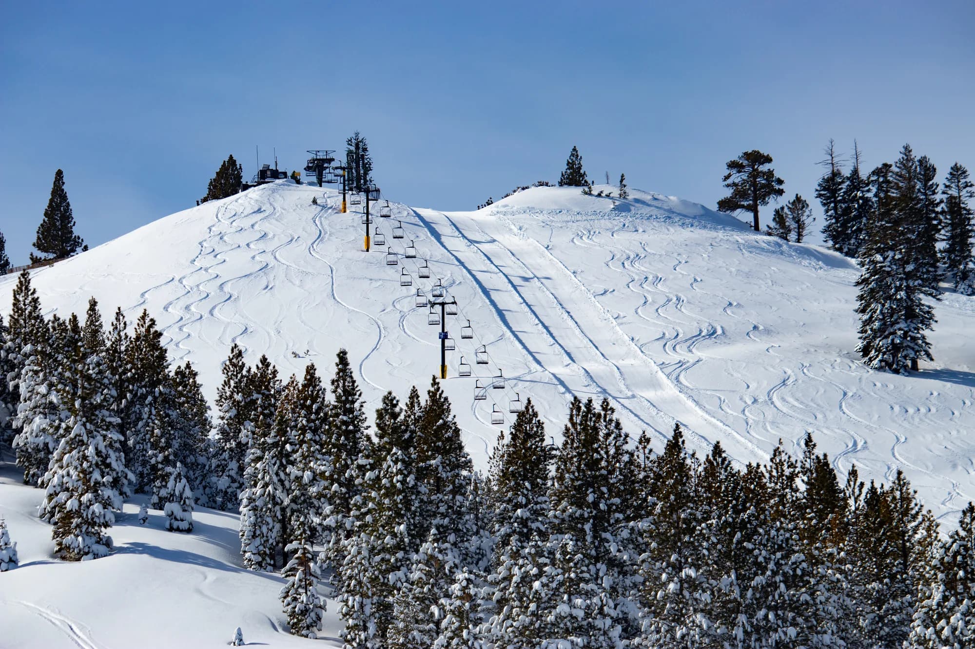 Un telesilla sube por una pista de nieve fresca en Mt. Rose, entre pinos nevados