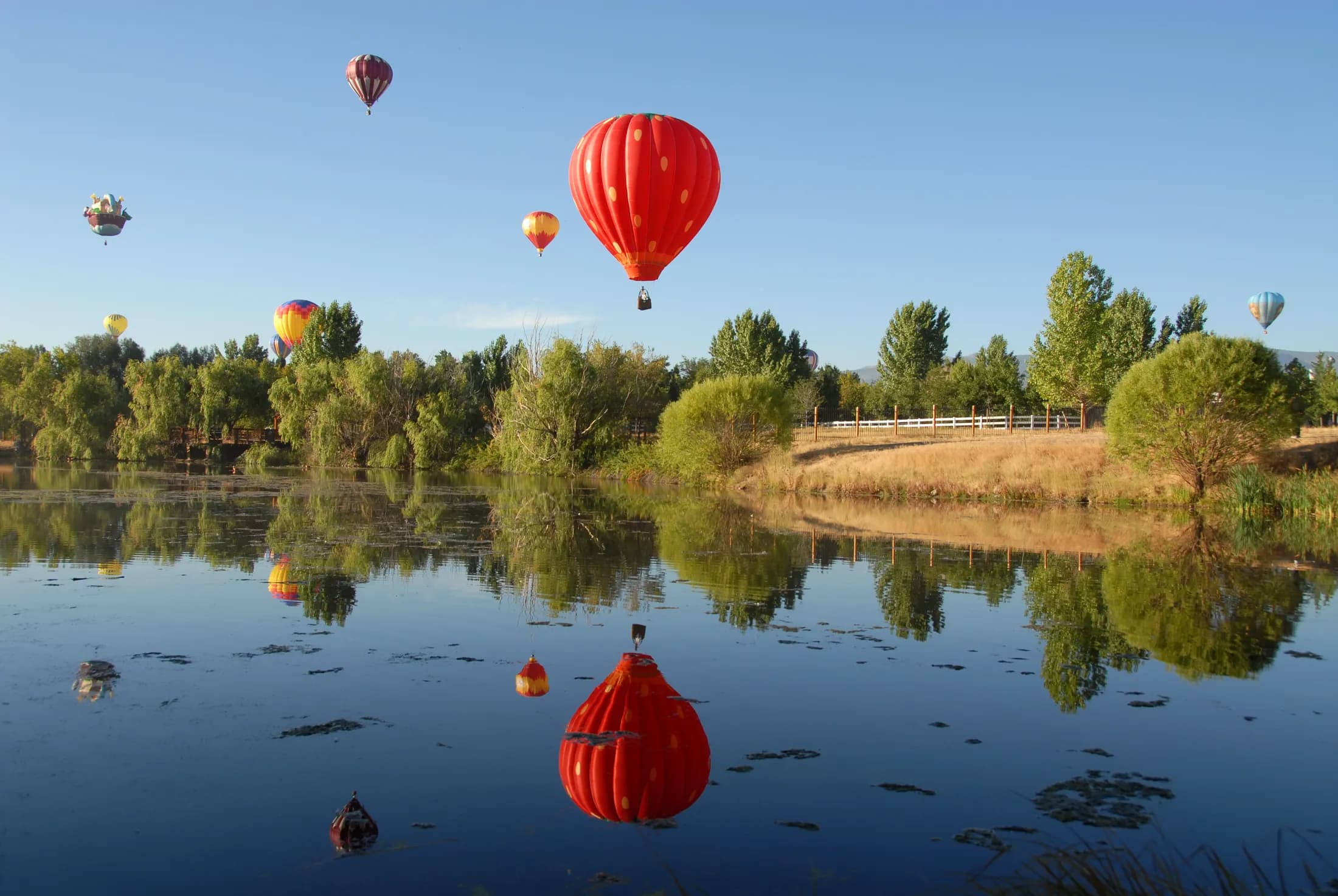Globos aerostáticos sobre un lago tranquilo en Reno, reflejados en el agua