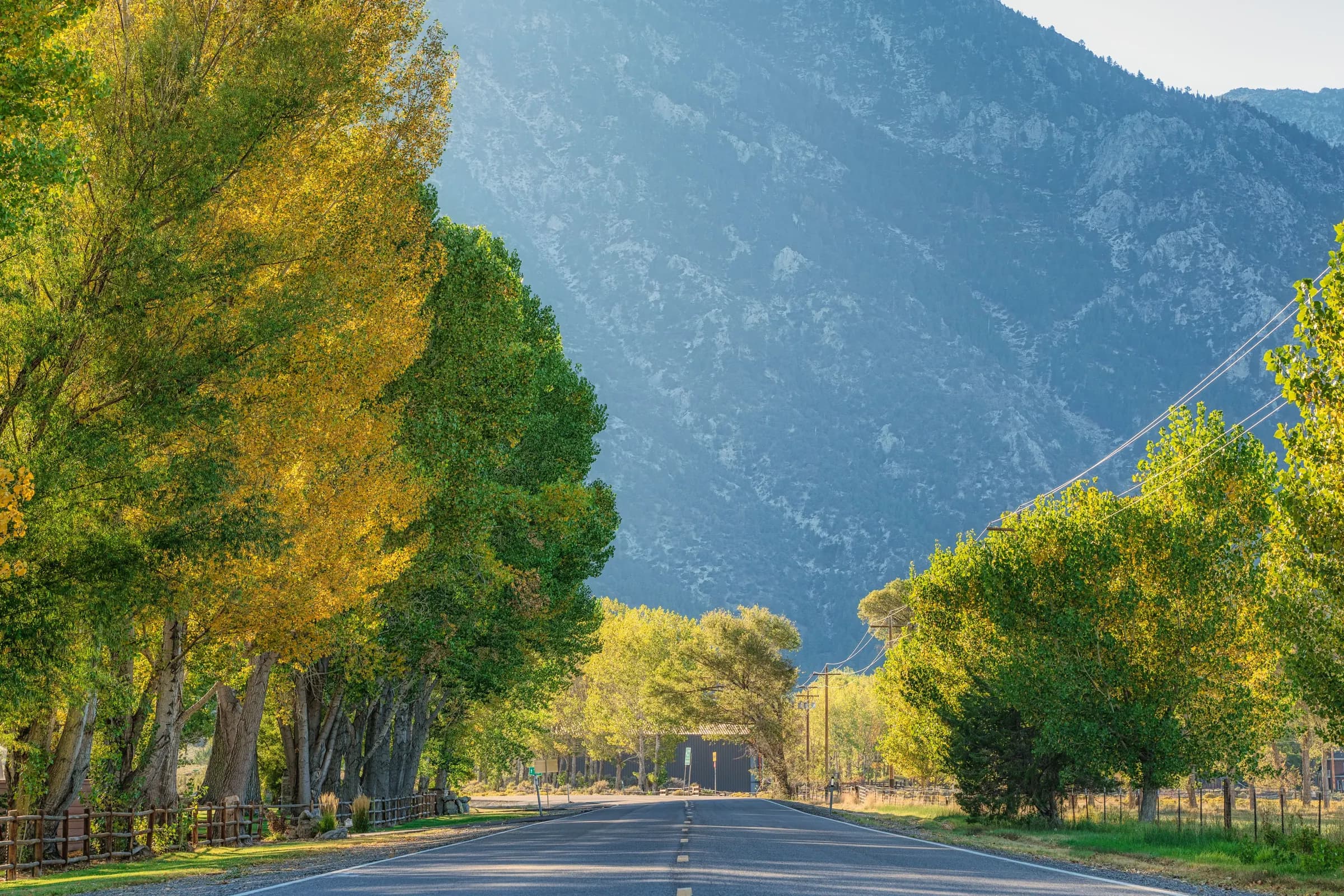 Un camino con álamos que lleva hacia la sierra Carson cerca de Gardnerville